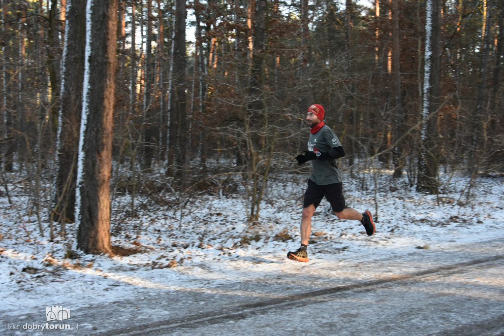 Zimowy parkrun