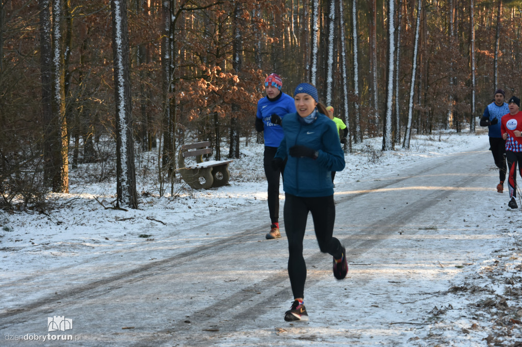 Zimowy parkrun