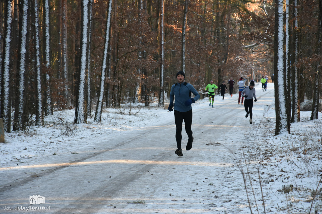 Zimowy parkrun