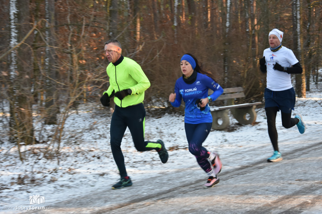 Zimowy parkrun