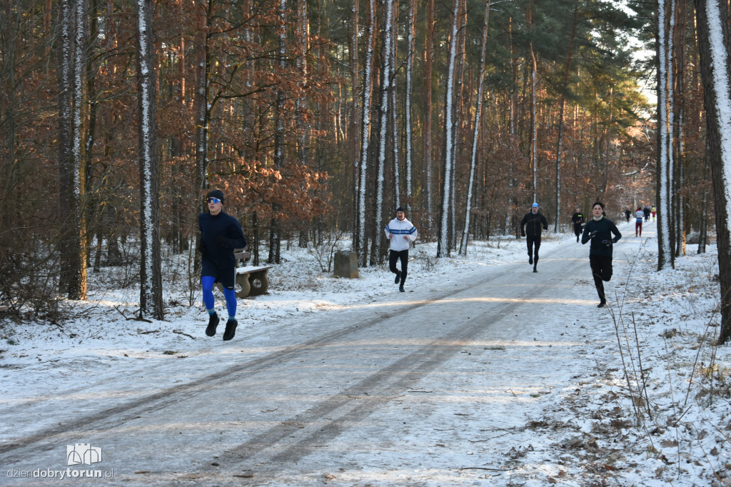 Zimowy parkrun