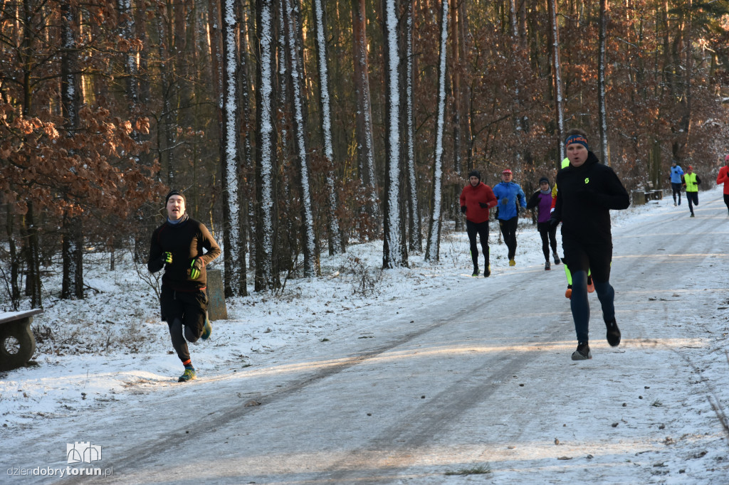 Zimowy parkrun