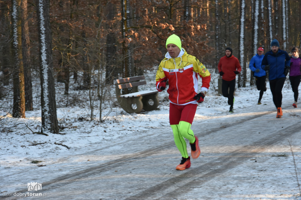 Zimowy parkrun