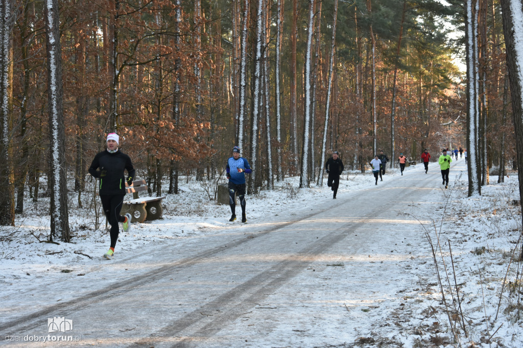 Zimowy parkrun