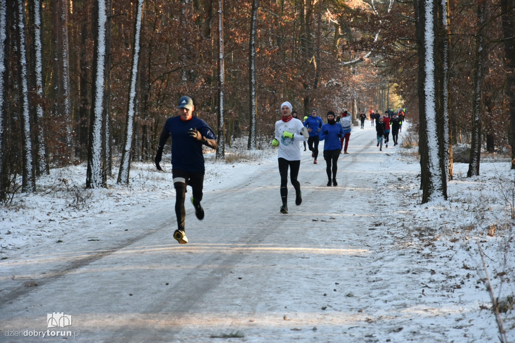 Zimowy parkrun