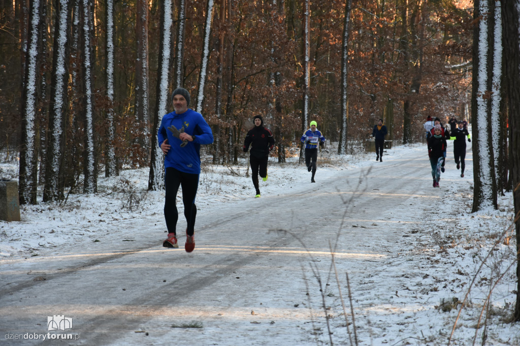 Zimowy parkrun