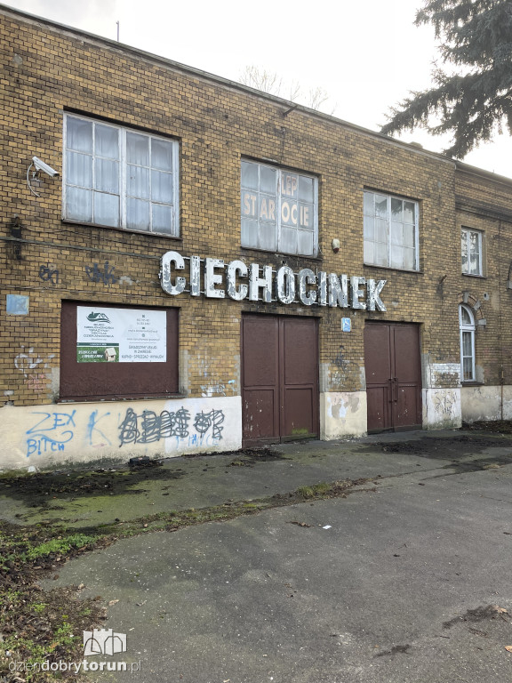 Tak wygląda linia kolejowa do Ciechocinka