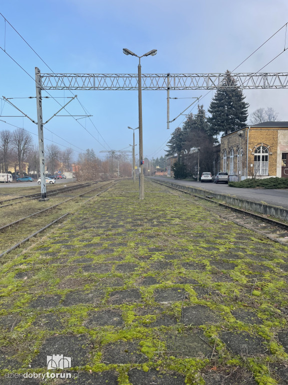 Tak wygląda linia kolejowa do Ciechocinka
