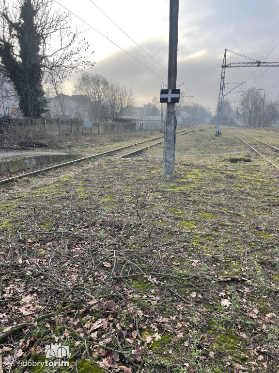 Tak wygląda linia kolejowa do Ciechocinka