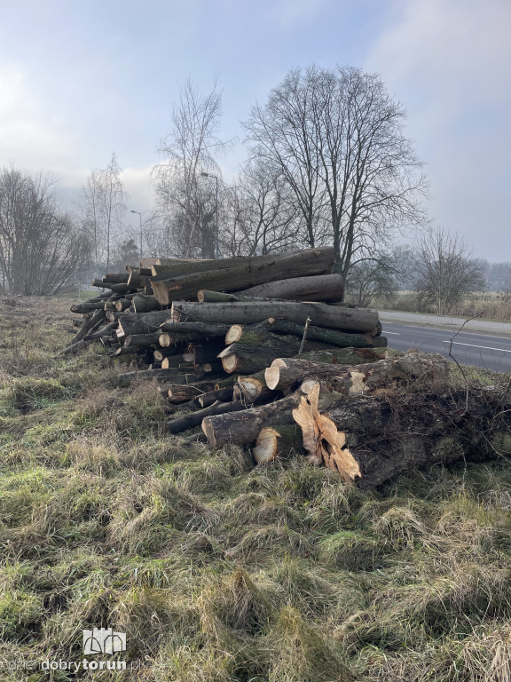 Tak wygląda linia kolejowa do Ciechocinka