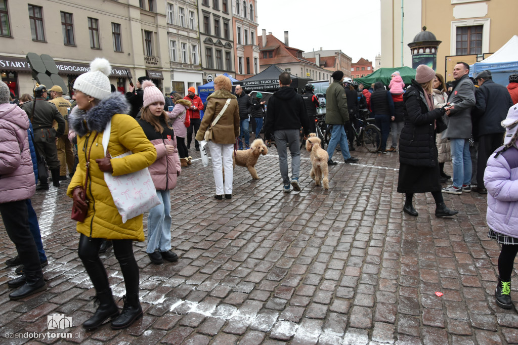 26. Toruńska Ściskawa