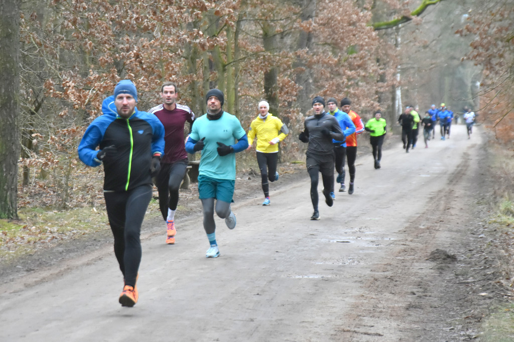 Sobotni Parkrun w Toruniu