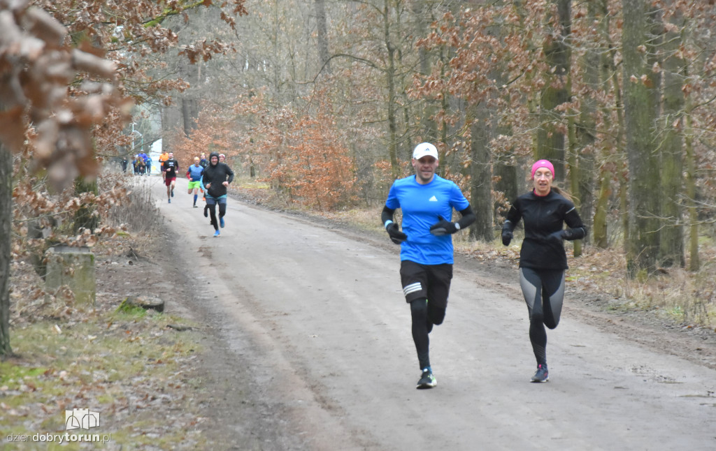 Sobotni Parkrun w Toruniu