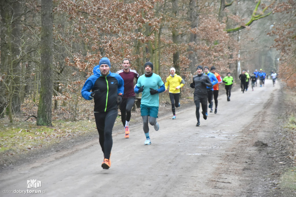 Sobotni Parkrun w Toruniu