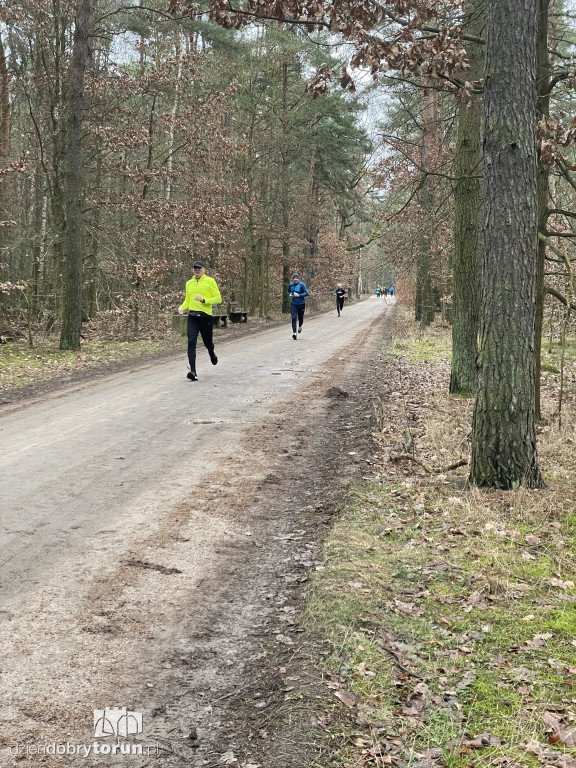 Sobotni Parkrun w Toruniu