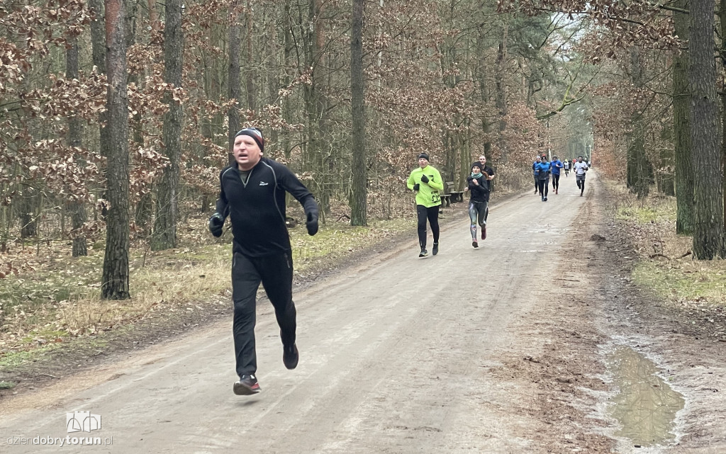 Sobotni Parkrun w Toruniu