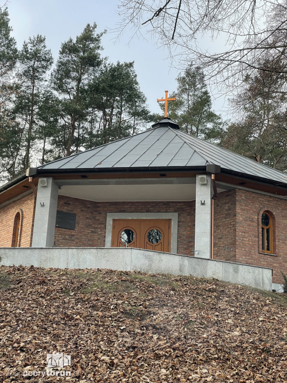 Budowa gigantycznego pomnika Matki Boskiej