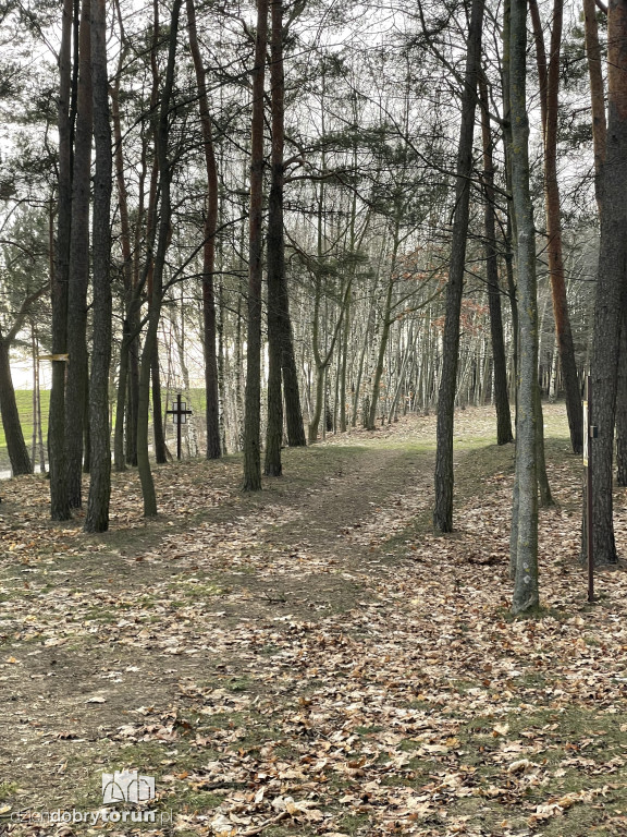 Budowa gigantycznego pomnika Matki Boskiej