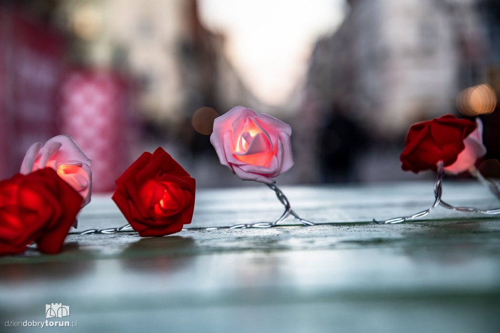 Walentynkowy weekend w Toruniu