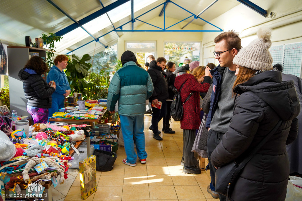 Dzień Kota w Schronisku dla zwierząt w Toruniu