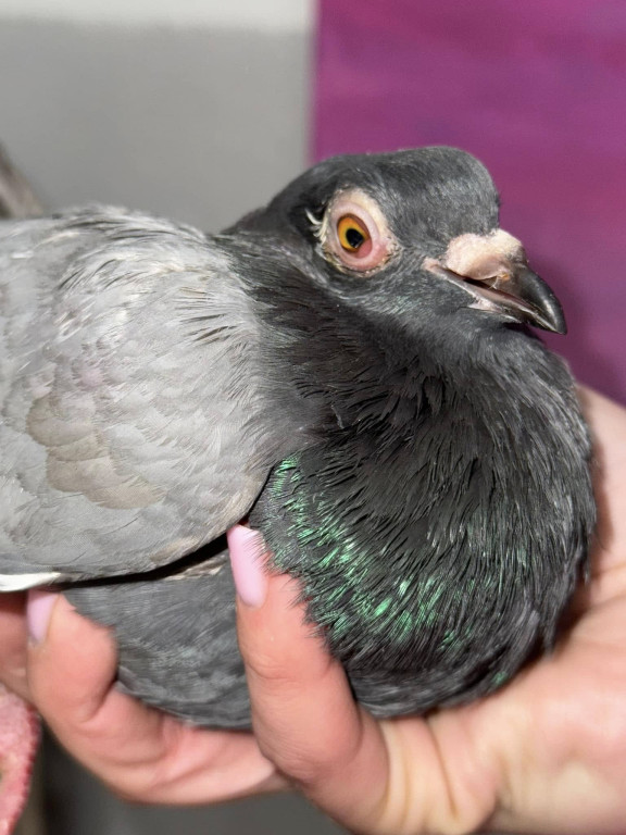 One przeżyły prawdziwy horror!