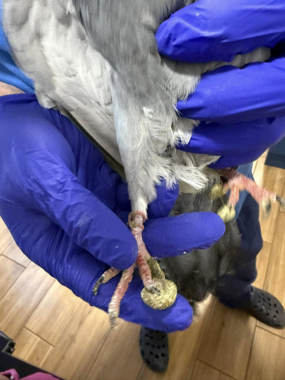 One przeżyły prawdziwy horror!