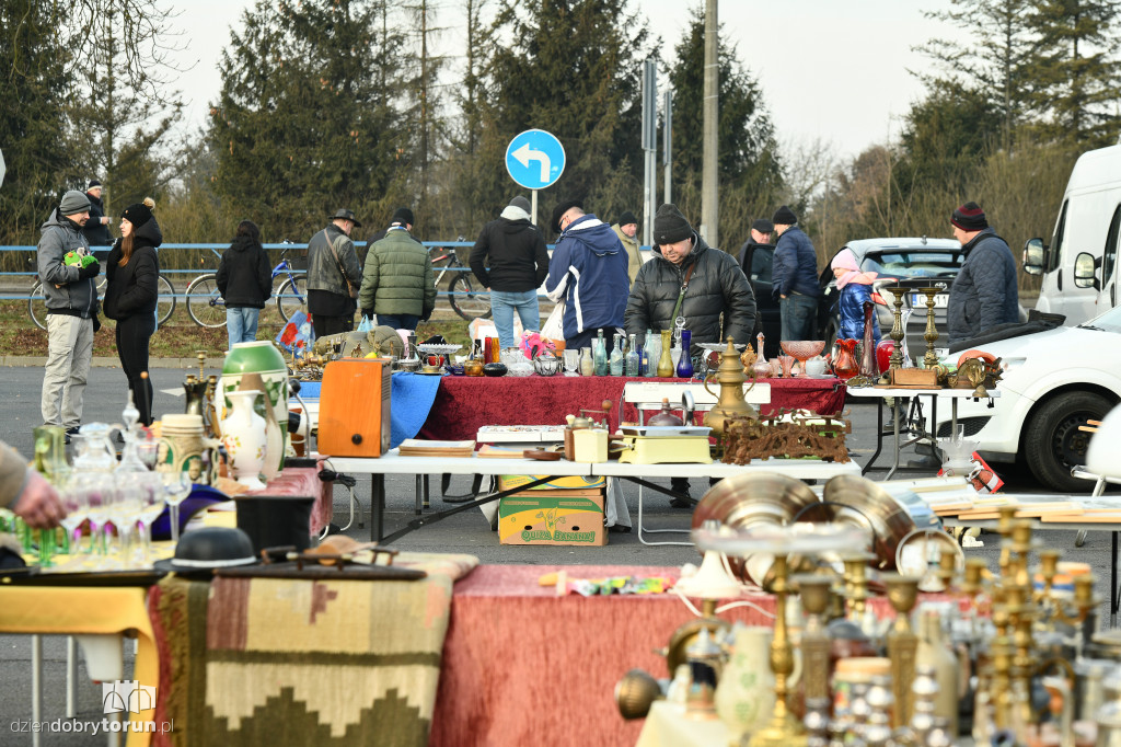 Pchli targ w Toruniu