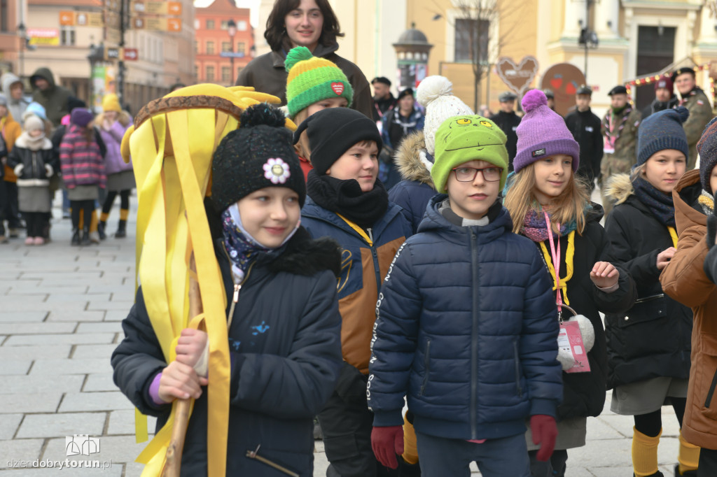 Setki harcerzy na toruńskim rynku