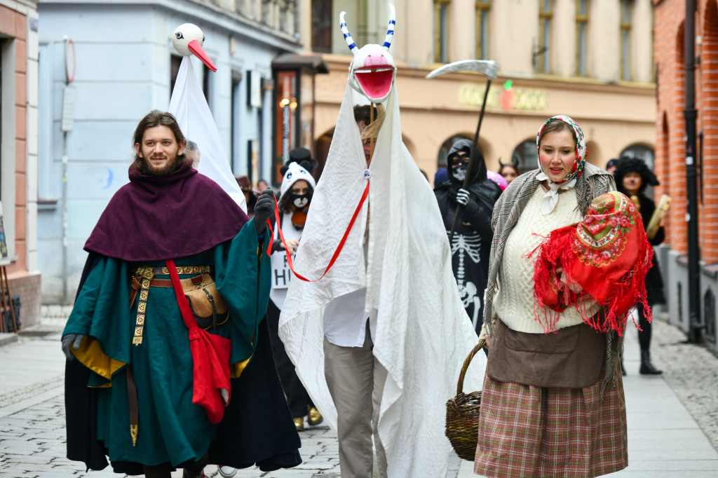 Chodzony z kozą na toruńskiej starówce!