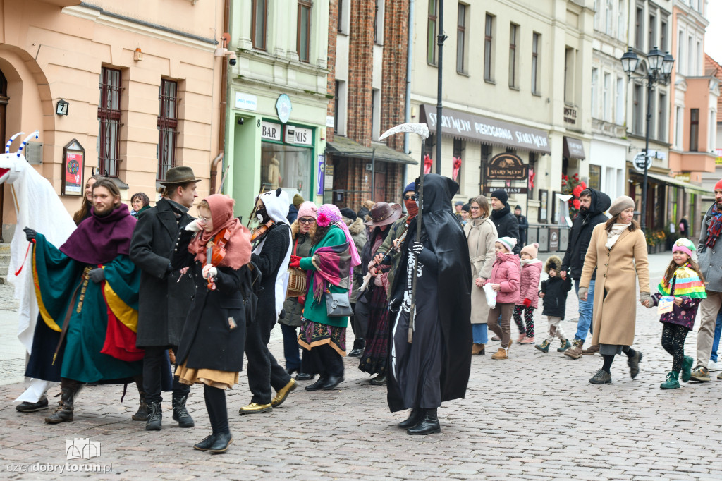 Chodzony z kozą na toruńskiej starówce!