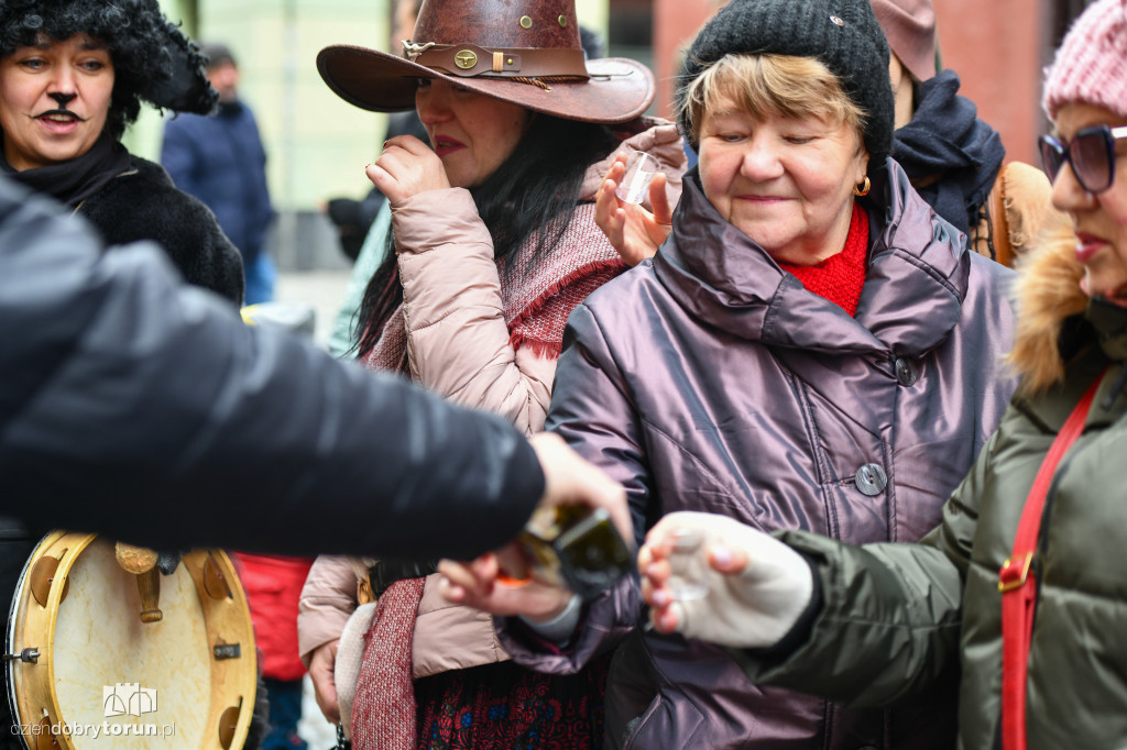 Chodzony z kozą na toruńskiej starówce!