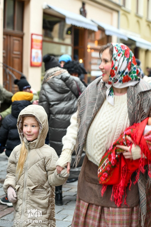 Chodzony z kozą na toruńskiej starówce!