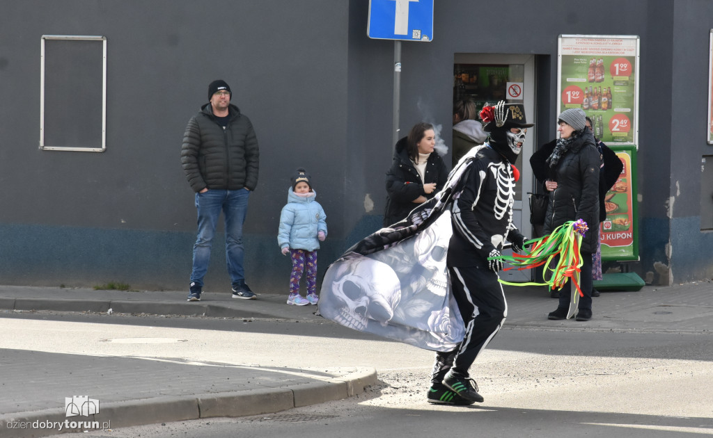 Koza z Plebanki podbiła Kujawy