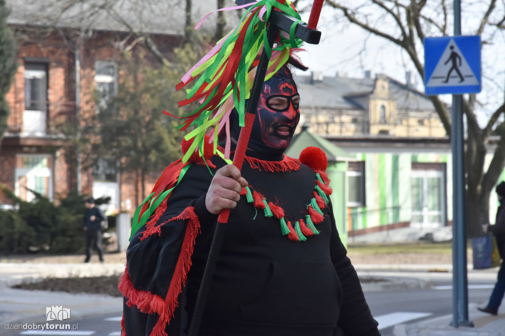 Koza z Plebanki podbiła Kujawy