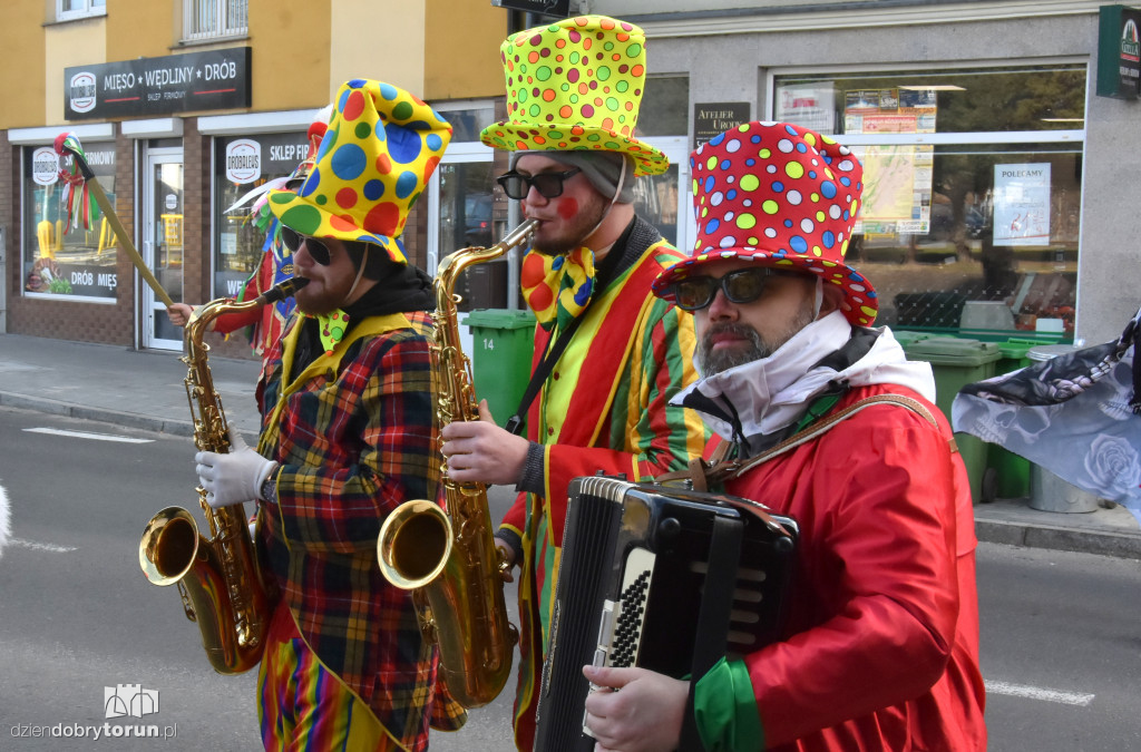 Koza z Plebanki podbiła Kujawy