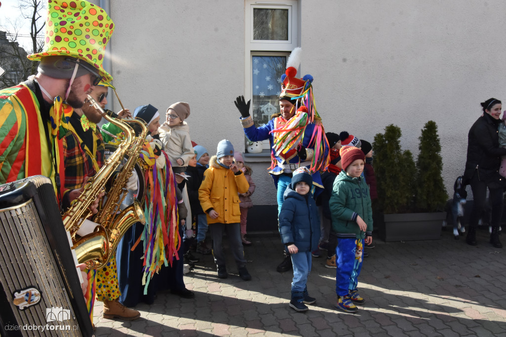 Koza z Plebanki podbiła Kujawy