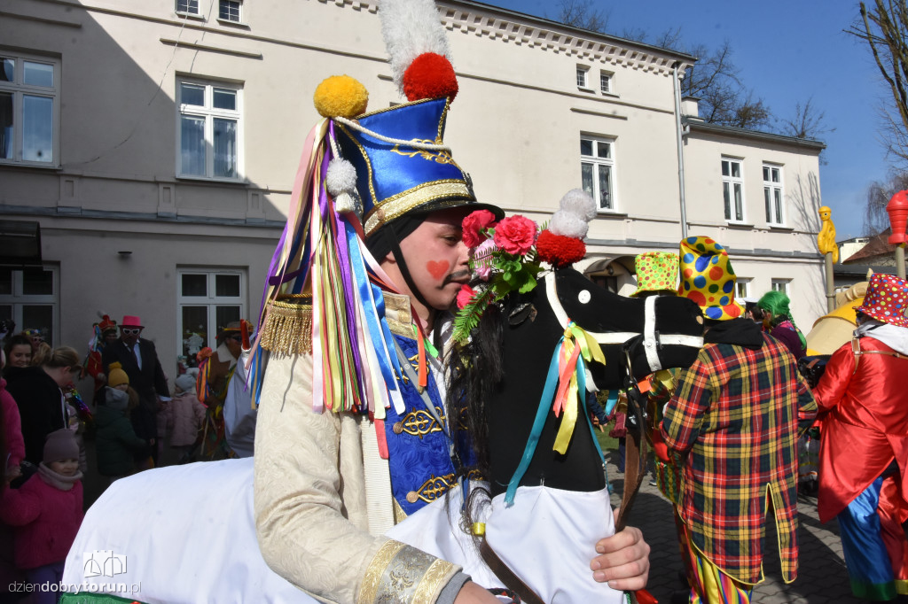 Koza z Plebanki podbiła Kujawy