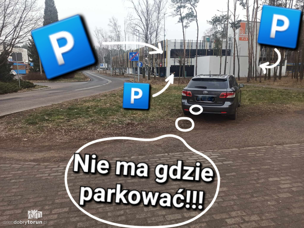 Mistrzowie parkowania z Torunia