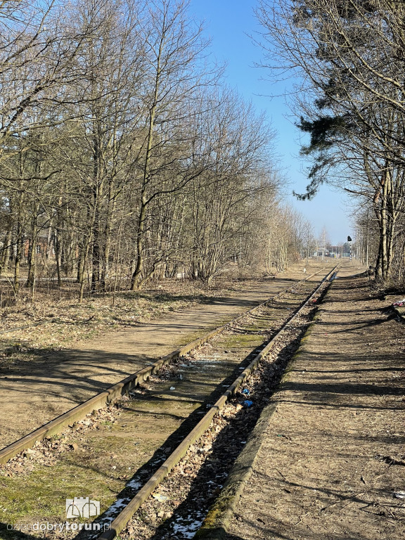 Tak dziś wygląda dworzec Toruń Północny