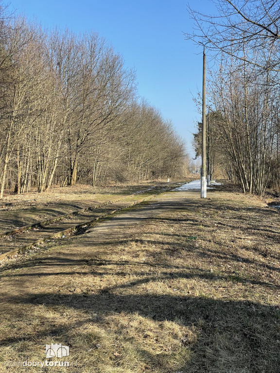 Tak dziś wygląda dworzec Toruń Północny