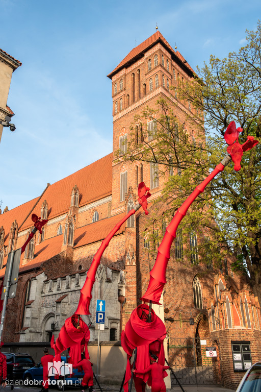 Festiwal Teatrów Ulicznych 2025
