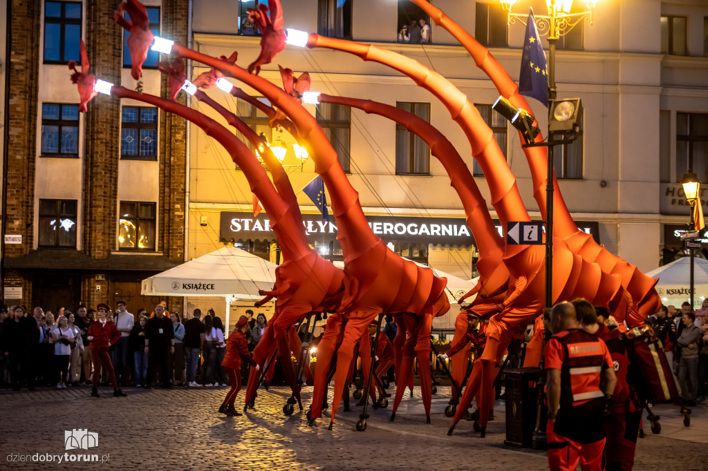 Festiwal Teatrów Ulicznych 2025