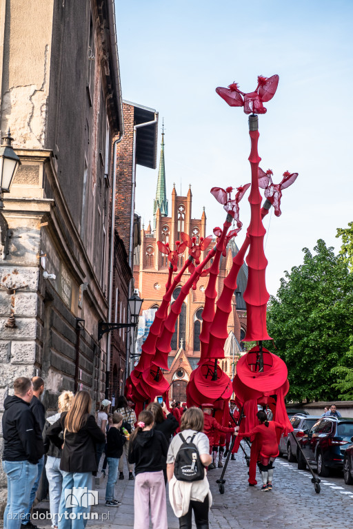 Festiwal Teatrów Ulicznych 2025