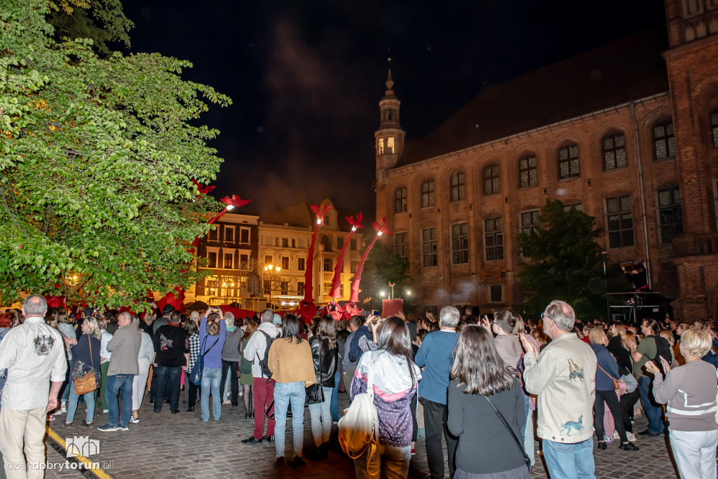 Festiwal Teatrów Ulicznych 2025