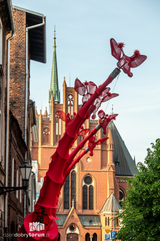Festiwal Teatrów Ulicznych 2025