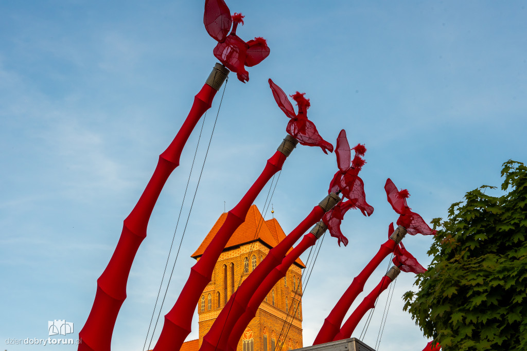 Festiwal Teatrów Ulicznych 2025