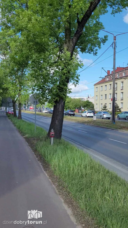 Kolizja na Lubickiej