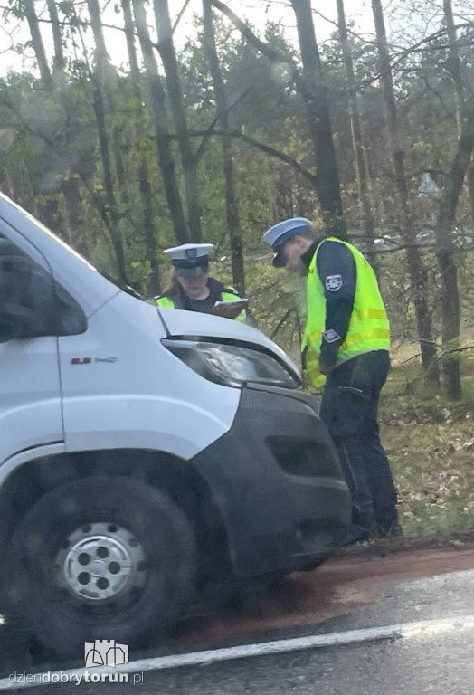 Groźny wypadek na DK91