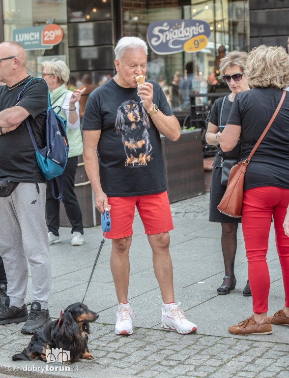 Parada Jamniczków