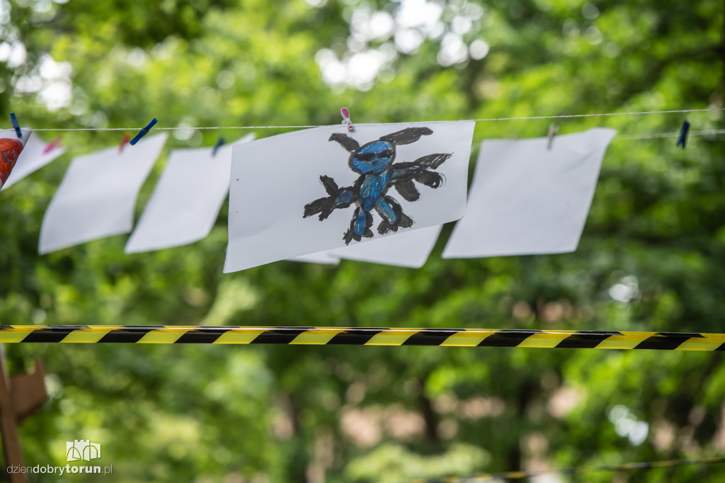 Michayland na Bydgoskim Przedmieściu